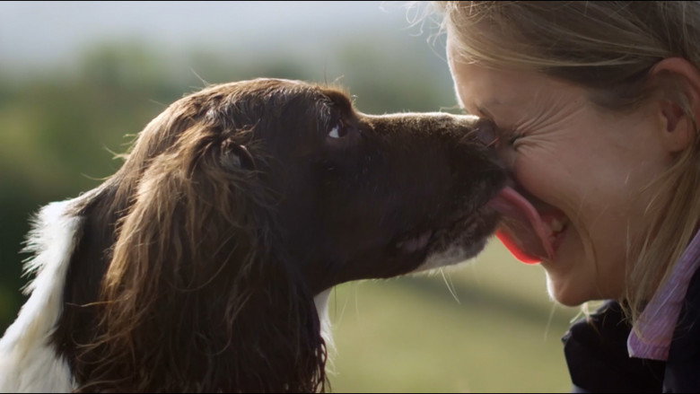 The Secret Life of Dogs still 2