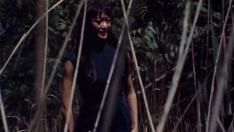 Greetings still 6
