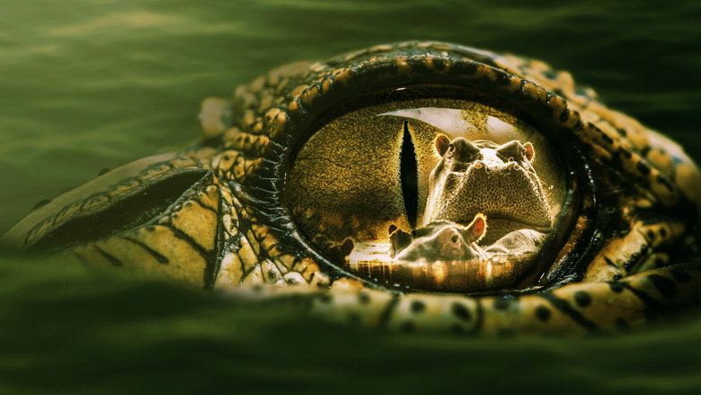 Hippo vs Croc still 1
