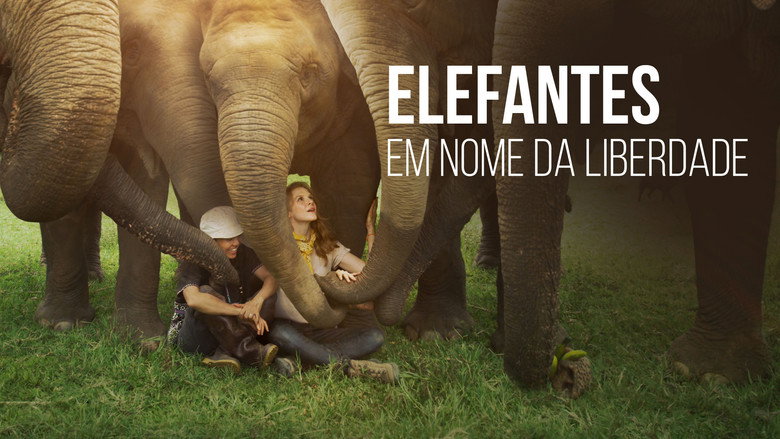 Love & Bananas: An Elephant Story still 4