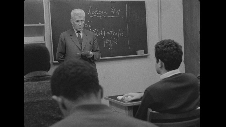 Lekcja 41 still 1