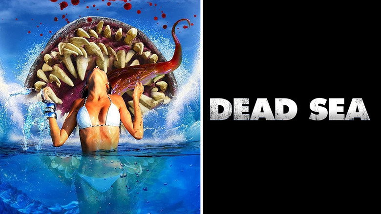 Dead Sea still 3