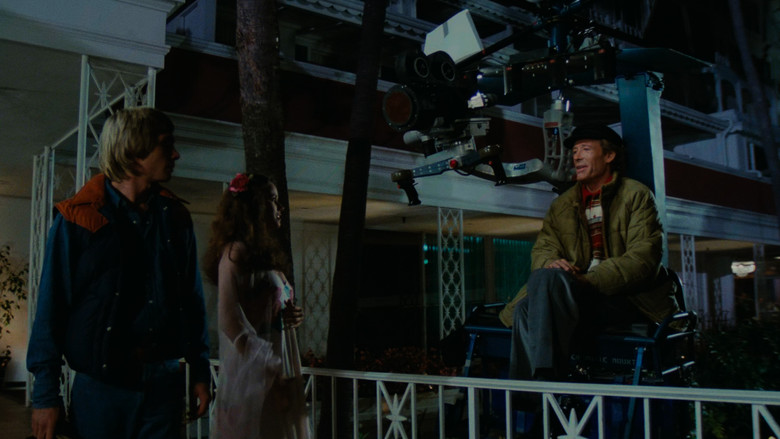 The Stunt Man still 8