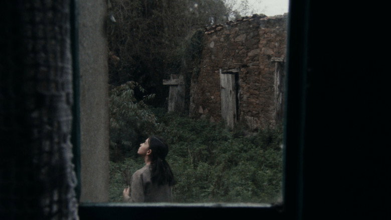 Nieblas still 1