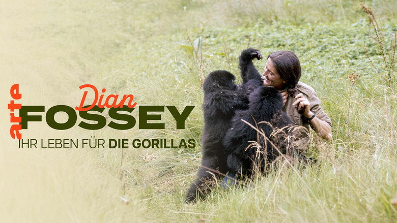 Dian Fossey: Ihr Leben für die Gorillas still 6