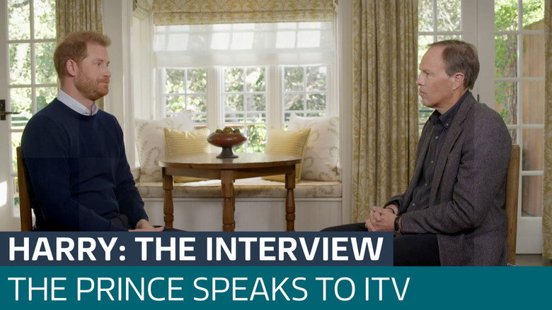 Harry: The Interview still 5