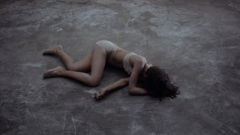 The Vanished still 3
