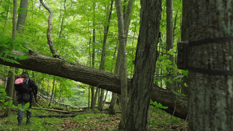 They Remain still 3