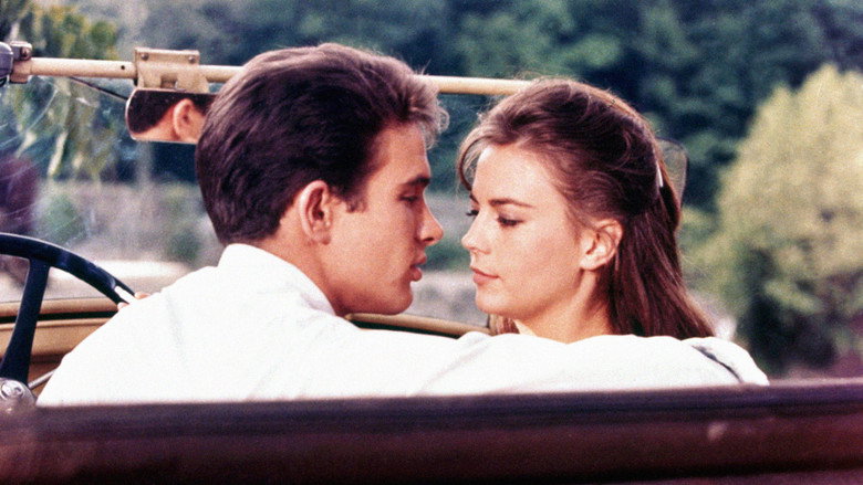Splendor in the Grass still 5