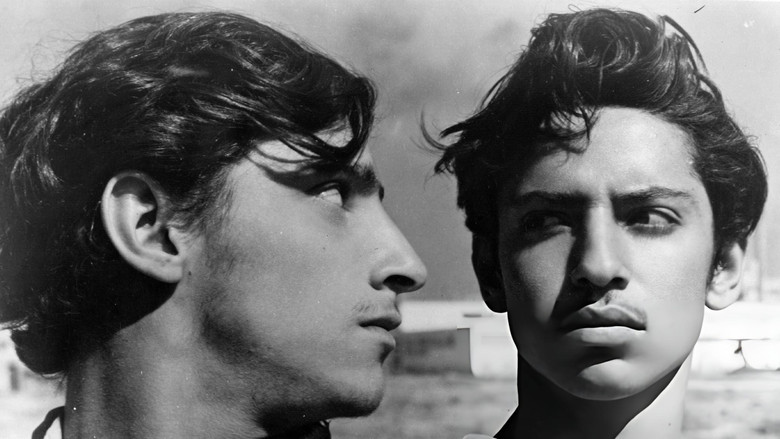 The Young and the Damned still 2
