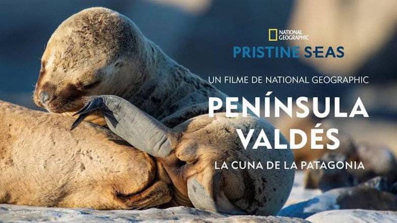 Península Valdés: La Cuna de la Patagonia still 1