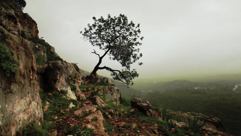 Is Mindfulness Right for You? still 1