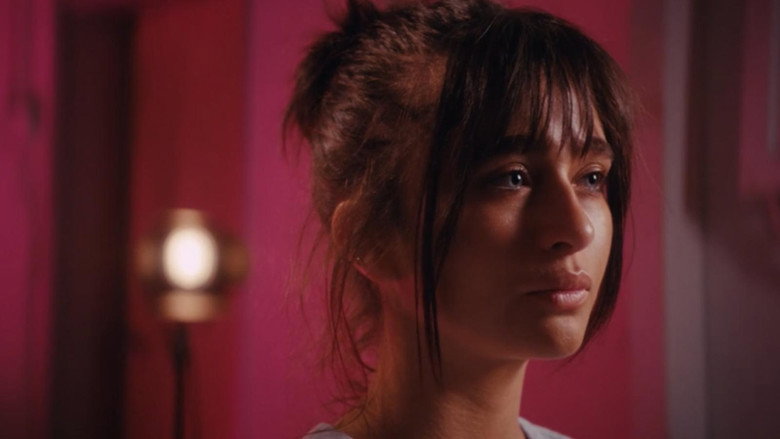 The Hermit still 6