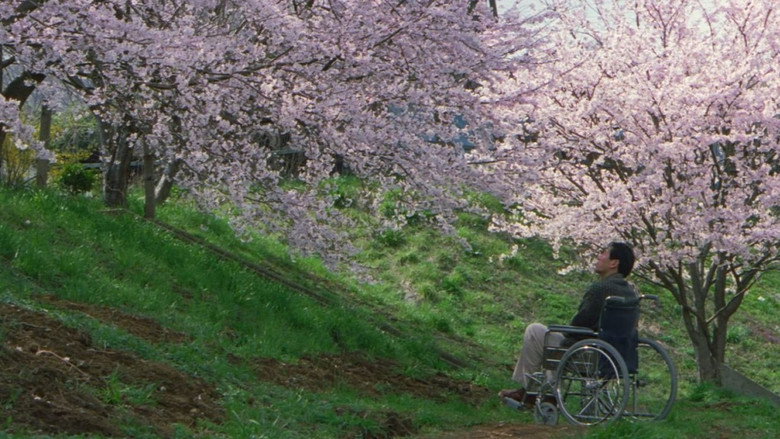 Fireworks still 6