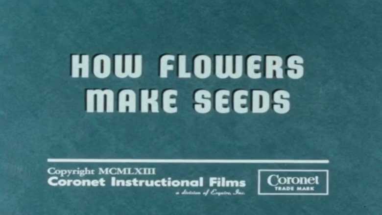 How Flowers Make Seeds still 1