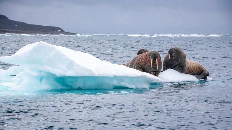 Under Thin Ice still 3
