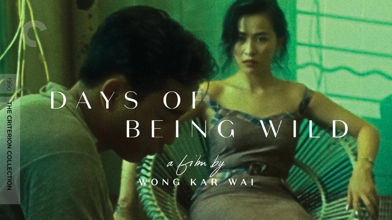 Days of Being Wild still 3