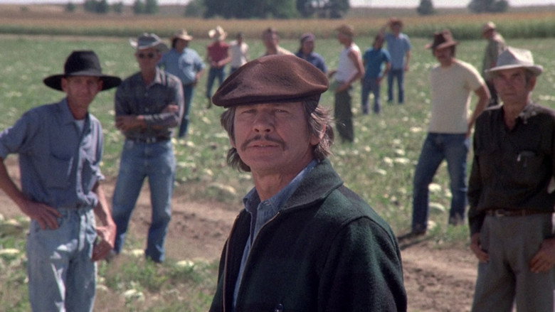 Mr. Majestyk still 7