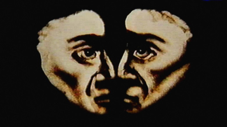 Ashes still 2