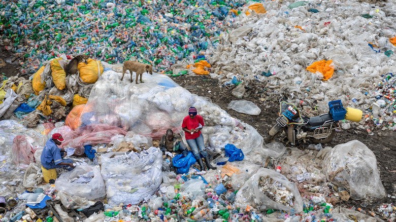 Anthropocene: The Human Epoch still 8