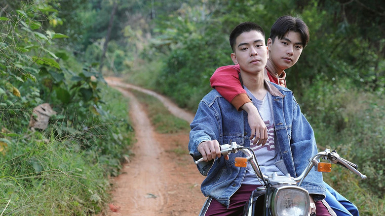 Dew still 3