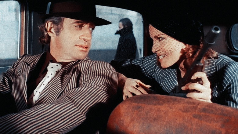 Animal still 3