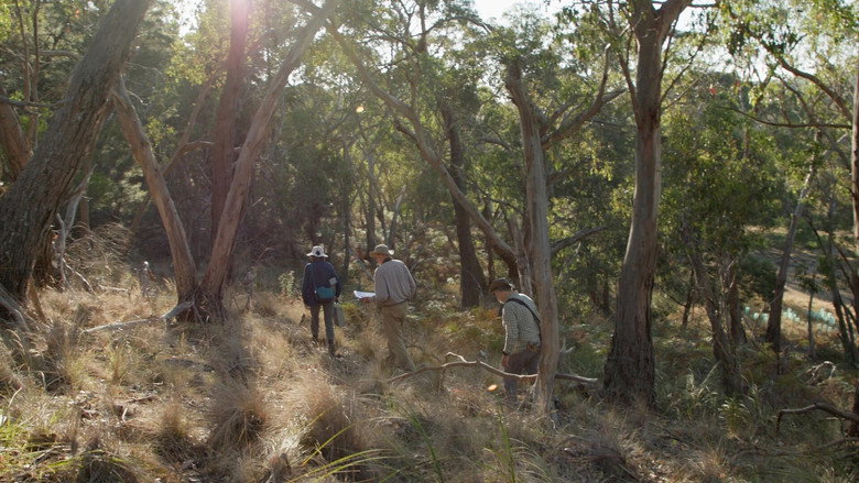 Saving Spring Creek Valley still 1
