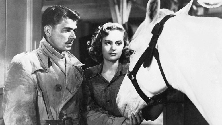 Stallion Road still 1