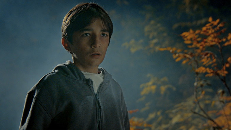 TLSM still 1