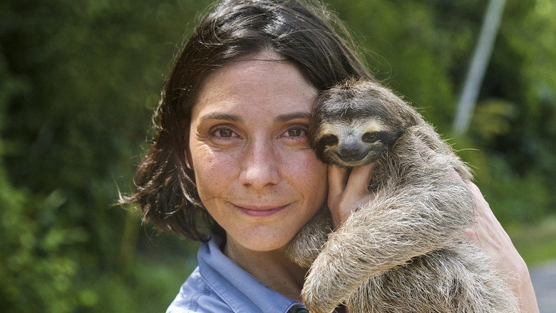 A Sloth Named Velcro still 1