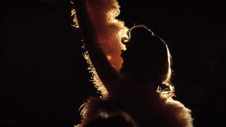 Burlesque still 2