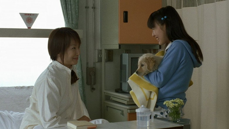 10 Promises to My Dog still 4