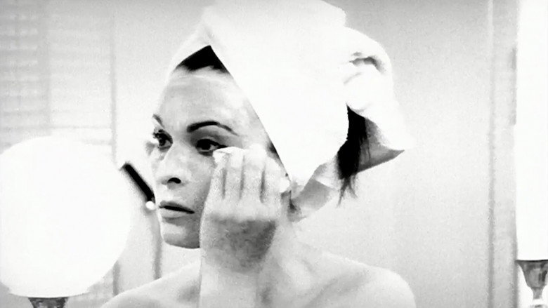 Everyday Portabella still 1