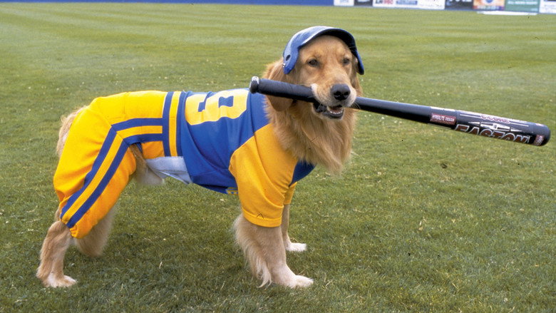 Air Bud: Seventh Inning Fetch still 3