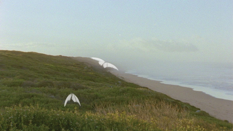 Reel #1: Surfing with Butterflies still 2