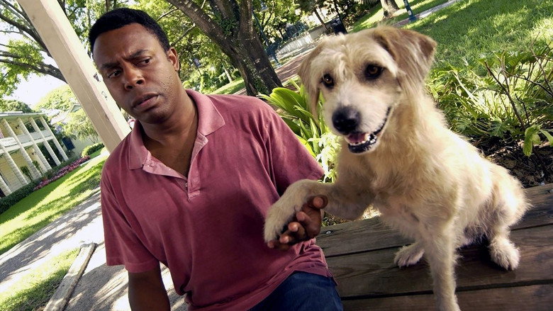 Lenny The Wonder Dog still 2