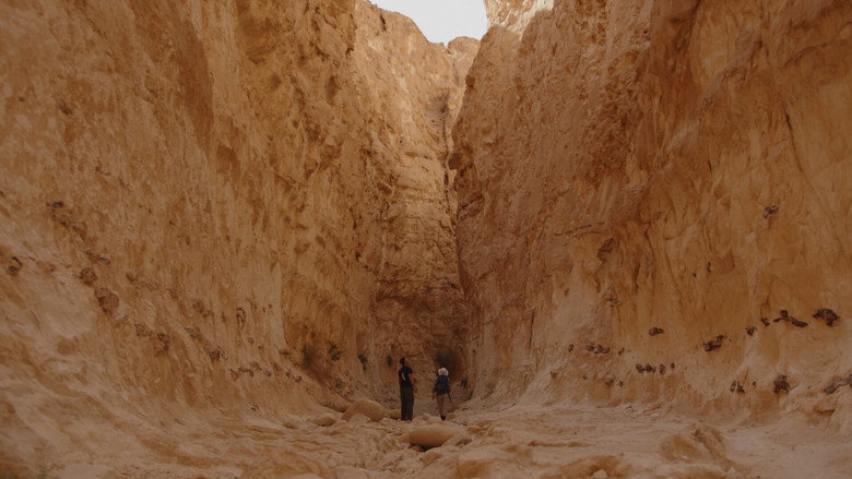 Galgalim still 2