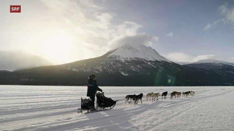Musher, l'appel de l'Alaska still 1
