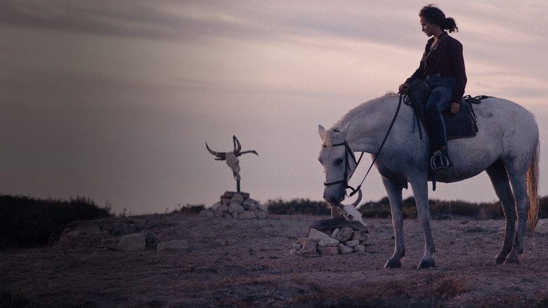 Animale still 2