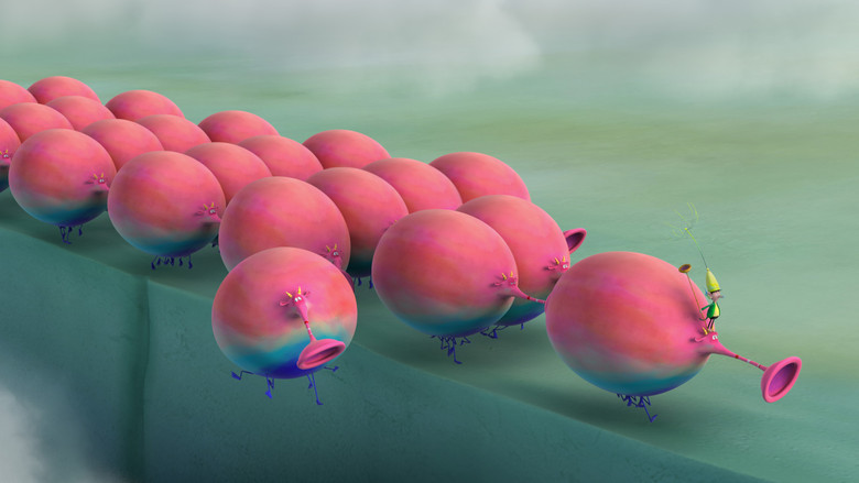 The Smortlybacks still 2