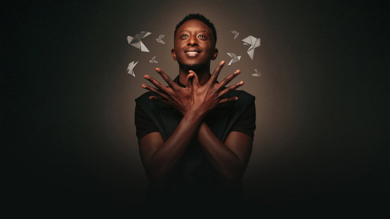 Ahmed Sylla - Origami still 1