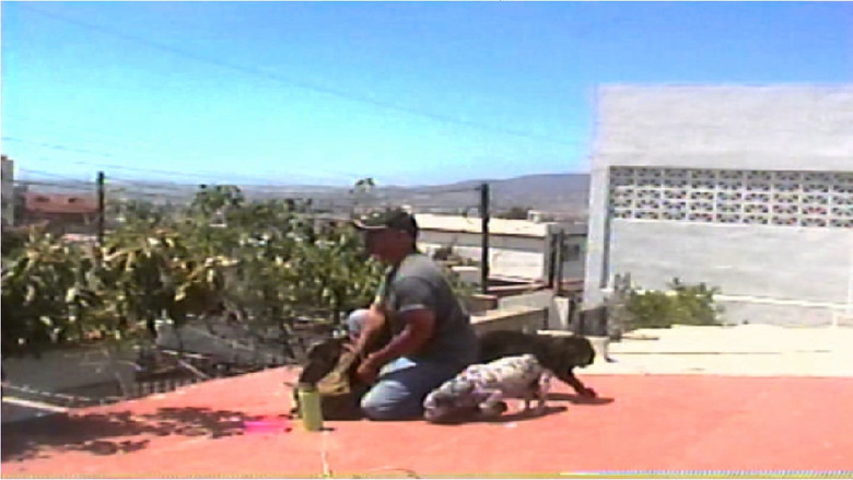Los que se quedan still 1