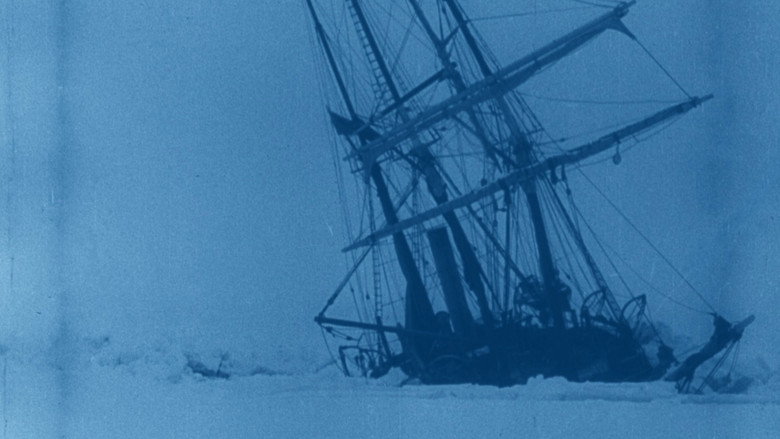South still 7