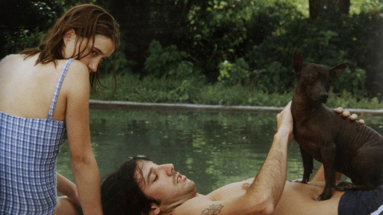 La Ciénaga still 5