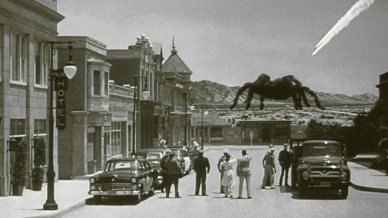 Tarantula still 1