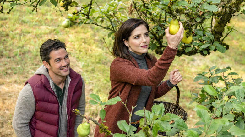 Harvest Love still 2