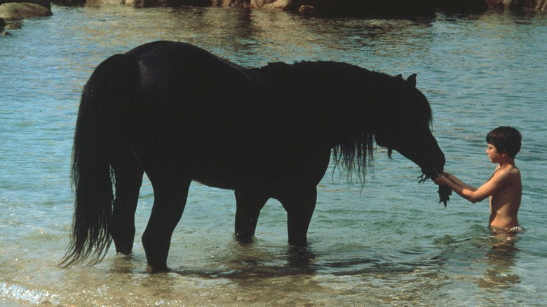 The Black Stallion still 4