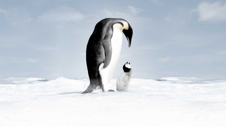 March of the Penguins still 4