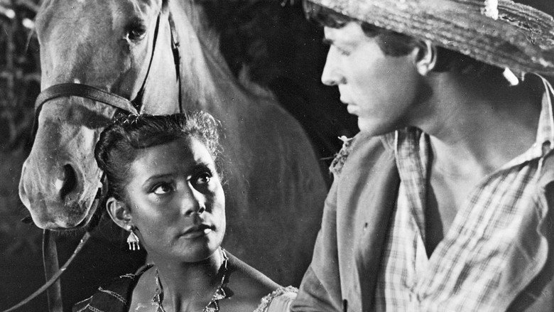 The Mexican still 2