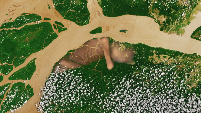 A conquista da floresta still 1